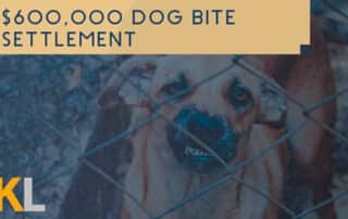 dog-bite-settlement-by-kirakosian-law