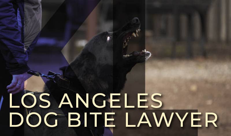 los-angeles-dog-bite-lawyer