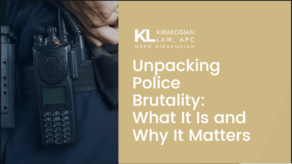 Unpacking Police Brutality: What It Is and Why It Matters 1 image111