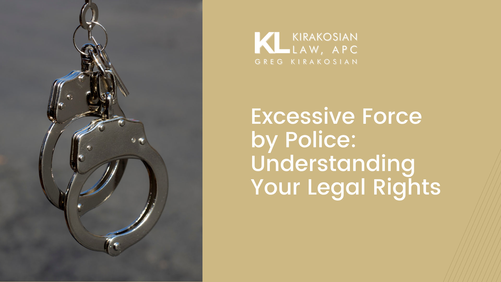 Blog 98 Kirakosian Excessive Force by Police Understanding Your Legal Rights 1