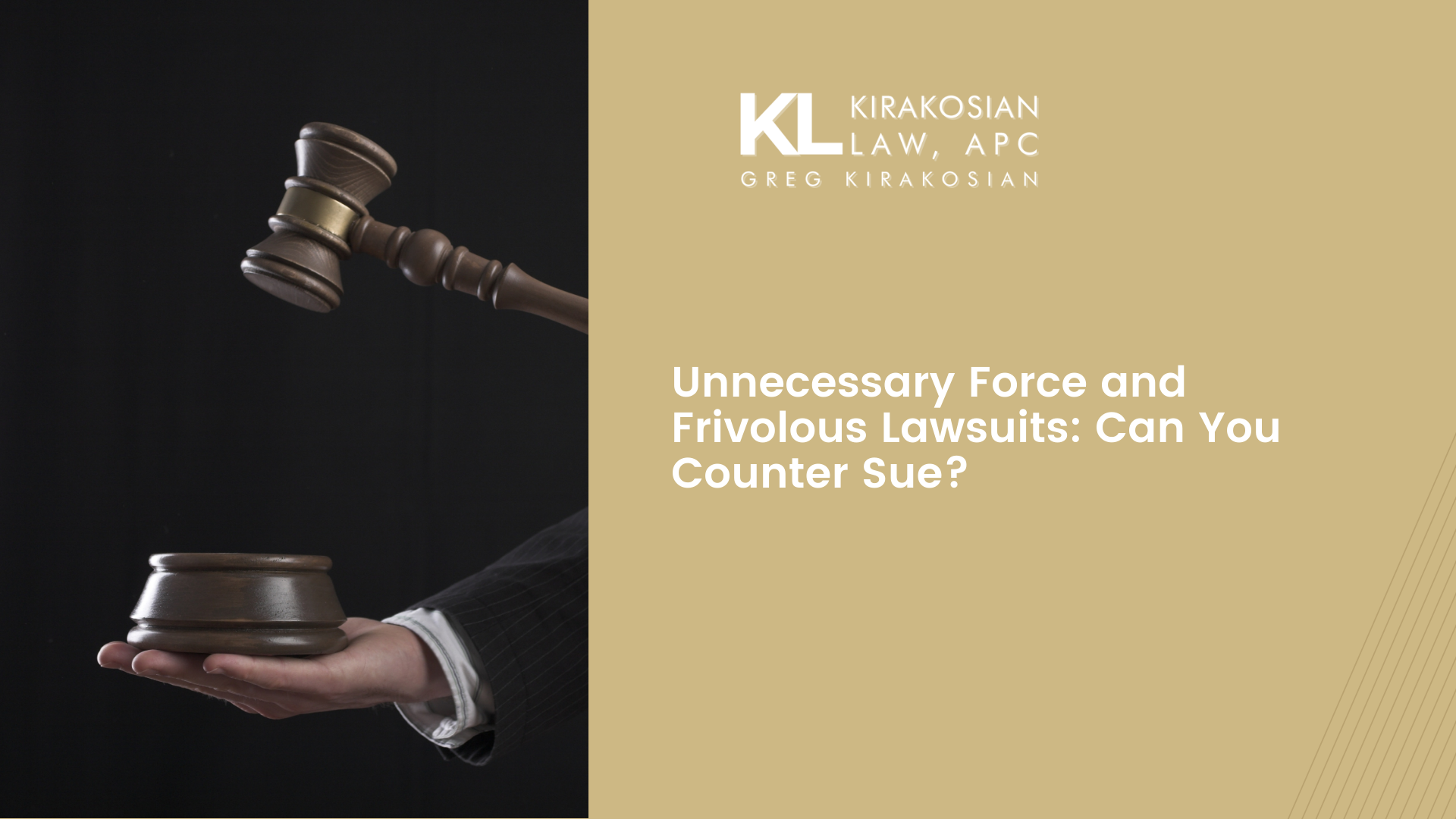 Blog 75 Unnecessary Force and Frivolous Lawsuits: Can You Counter Sue?